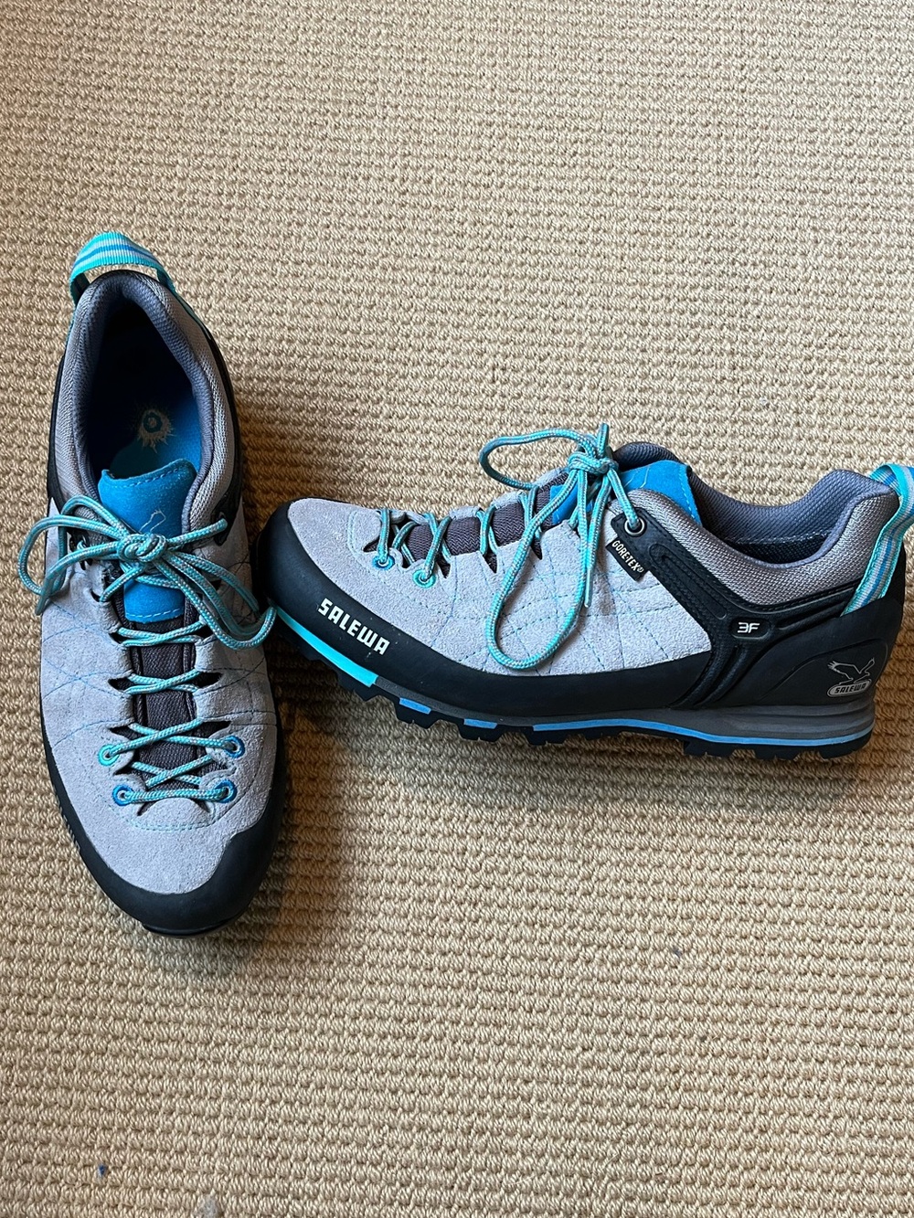 Salewa Pelle Mountain Trainer Gtx 9